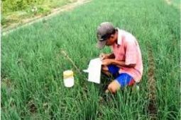 ITS Kenalkan Manfaat Cahaya bagi Manusia Melalui "ISPHoA"