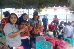 Distan Maluku Tenggara buka galeri bawang merah