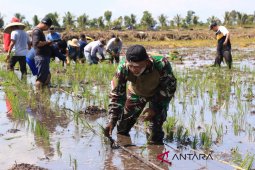 50 farmer groups compete to work on 50 hectares Jejangkit land