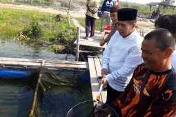 Bupati Bangka Tengah apresiasi usaha keramba apung warga