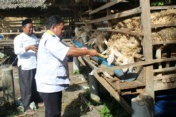 Baznas Langkat targetkan pengembangan domba 1.000 ekor