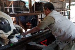 Dinas Peternakan Indramayu inspeksi penjualan hewan kurban