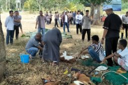 Polres Malra salurkan hewan kurban ke masjid