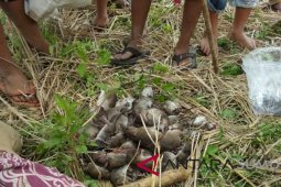 BPJSTK perluas desa sadar jamsos pekerja di NTT