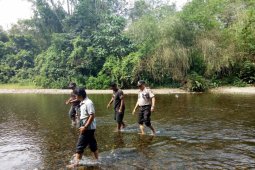 Petugas belum berhasil lihat harimau pemangsa ternak