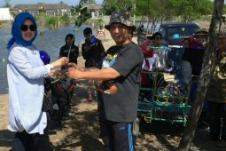 Unhar tanam 1.150 bibit mangrove di Medan Labuhan