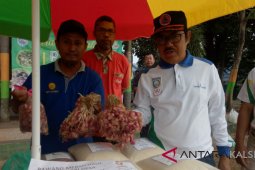 Bupati minta petani belajar tanam bawang merah
