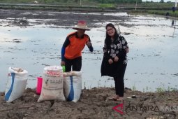 BI optimistis produktivitas pada meningkat