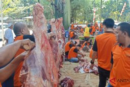 Al Jihad Mosque distributes 10 thousand bags of sacrificial meat