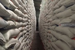 Serapan Bulog Terkendala Tingginya Harga Gabah