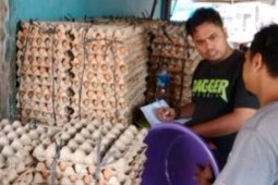 Satgas pangan pantau harga telur di pasar tradisional