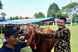 Bogor kesulitan dirikan bursa hewan kurban kecamatan
