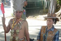 Kesaktian warga Dayak panjat pohon berduri