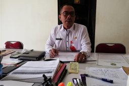 Tapin siapkan 1175 ekor sapi qurban