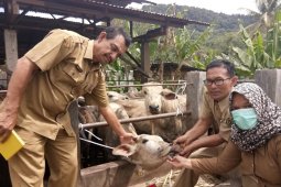 Pemkab Tapsel periksa kesehatan hewan qurban