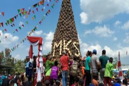 Indonesia ready to penetrate US pineapple market