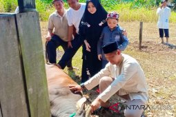 Polres HST berkurban sapi dan kambing