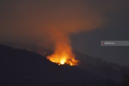 Kebakaran Gunung Lawu