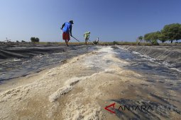 Kebutuhan garam nasional