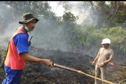Lahan samping Jembatan Kapuas Tayan terbakar