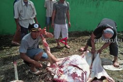 Kata dokter, ini penyakit yang mengancam jika makan daging berlebihan