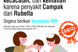 Capaian imunisasi MR di Ambon 57,88 persen
