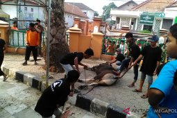 Masjid Agung Karawang sediakan 3.000 kupon daging