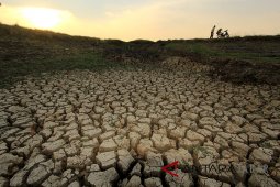 Di Jabar 22 kabupaten/kota terdampak kekeringan