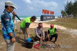 PT Timah tanam cemara di Pantai Tanjung Labu