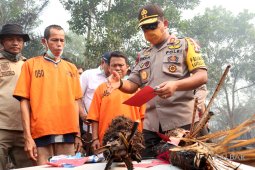 Tersangka pembakar lahan di Kalbar bertambah satu