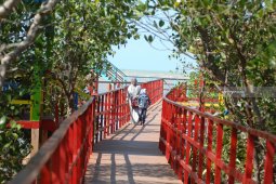 Kadin Jatim Dorong Perencanaan Neraca Mangrove