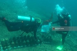 Transplantasi Terumbu Karang dari Batok Kelapa Diuji Coba di Probolinggo