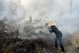Landak perpanjang status darurat asap hingga satu bulan