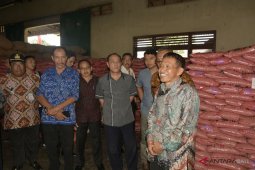 Badung tertarik kembangkan bibit padi unggul bersertifikat