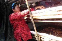 Mahasiswa IPB ajari ibu rumah tangga budidaya cacing untuk tingkatkan ekonomi keluarga