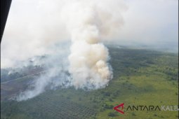 Polres Sintang amankan lima tersangka pembakar lahan