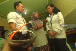 Pelatihan PKU PNM-PT SIER