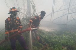 Kabut asap Kalbar, kasus ISPA di Kubu Raya naik drastis
