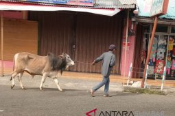 Korban Puting Beliung Mengungsi Ke Rumah Aman