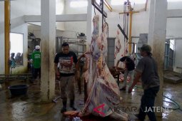Citimall Bagikan Paket Daging Kurban Kepada Masyarakat