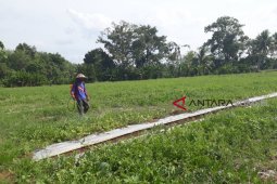 Langkah strategis menghadapi kemarau