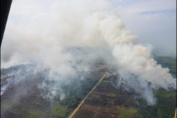 Perusahaan pembakar lahan akan ditindak tegas