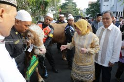 Pemkot Surabaya Salurkan 46 Hewan Kurban