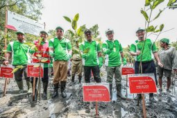 Pertamina tanam mangrove dan bangun rumah edukasi wisata mangrove