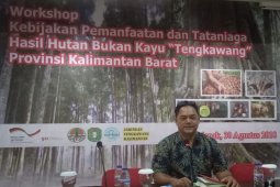 Kadin Kalbar desak permendag no. 44 dicabut