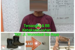 Polisi kembali tangkap pembakar lahan