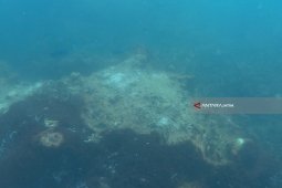 Terumbu Karang di Pantai Binor Probolinggo Rusak