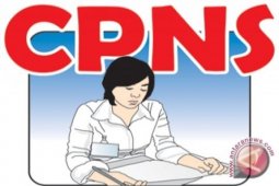 Sejumlah formasi CPNS Taput sepi peminat