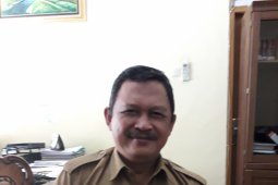 11 honorer K2 Bangka Tengah berpeluang diangkat menjadi PPPK