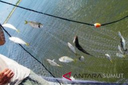 Daerah diminta anggarkan pembelian alat tangkap ikan